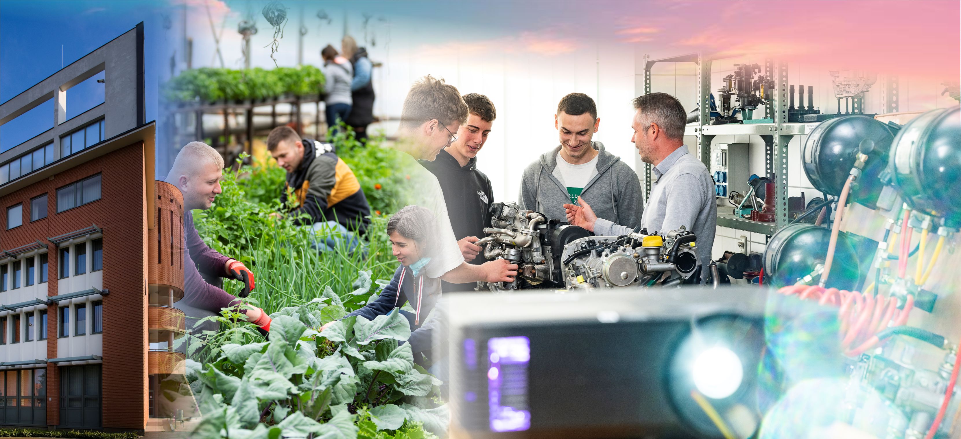 Műszaki és Agrártudományi Intézet